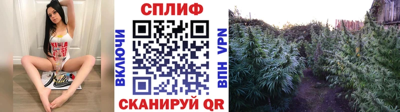 Купить где  Великий Устюг  Бошки Шишки тримм 